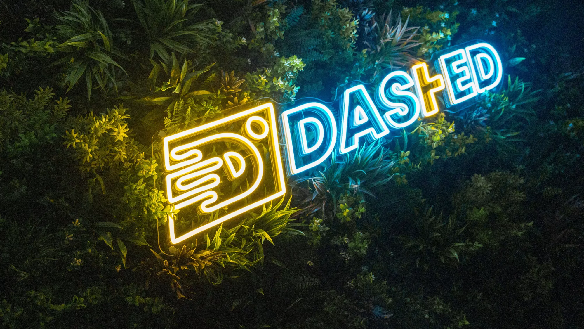 Neonlicht met het logo en de tekst "DASHED" in geel en blauw, weergegeven tegen een achtergrond van groene planten.