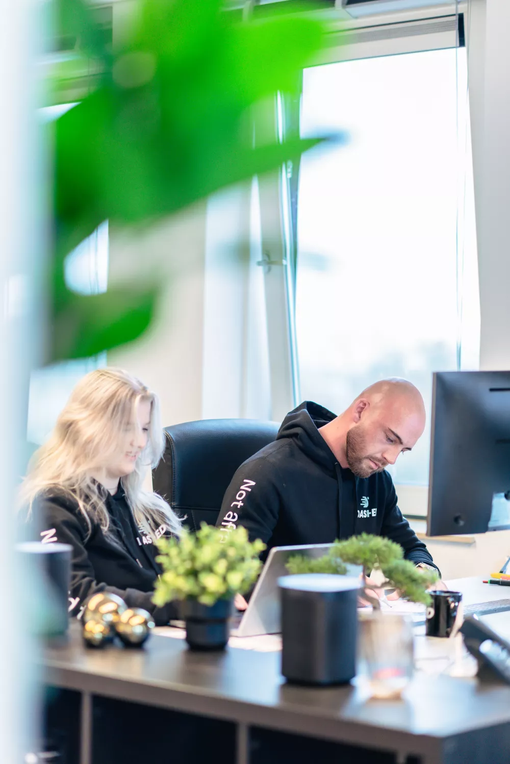 Twee mensen zitten aan een bureau achter computers in een kantooromgeving, met planten op de voorgrond.